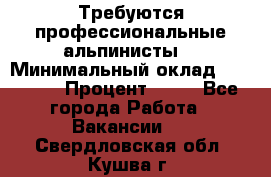 Требуются профессиональные альпинисты. › Минимальный оклад ­ 90 000 › Процент ­ 20 - Все города Работа » Вакансии   . Свердловская обл.,Кушва г.